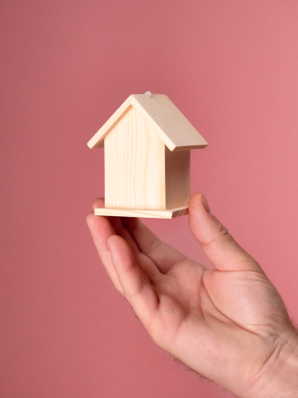 person holding a wooden miniature house