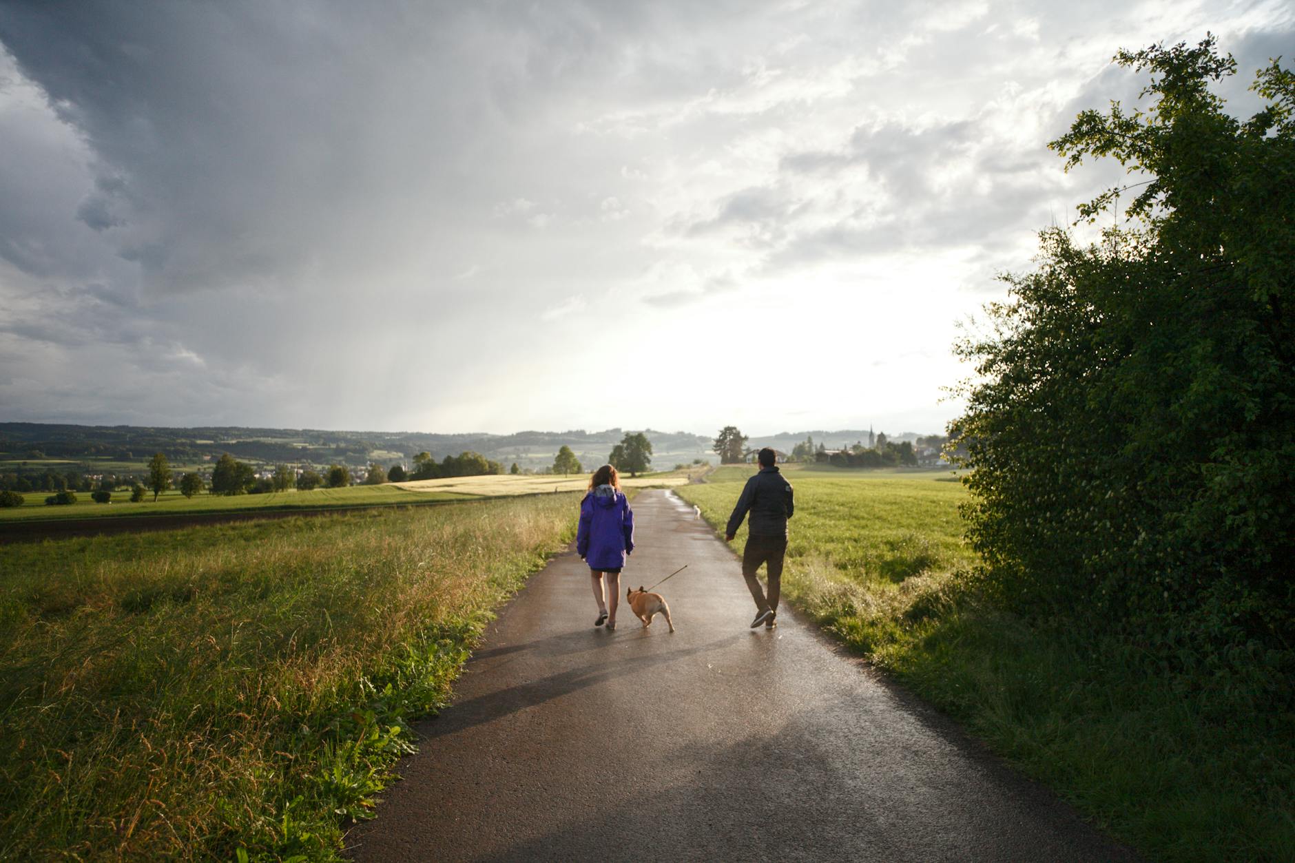 man and woman walking dog on tarmacked road
